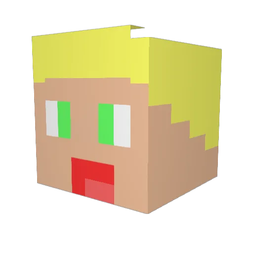 Timpatumpa Minecraft avatar head, 3D render