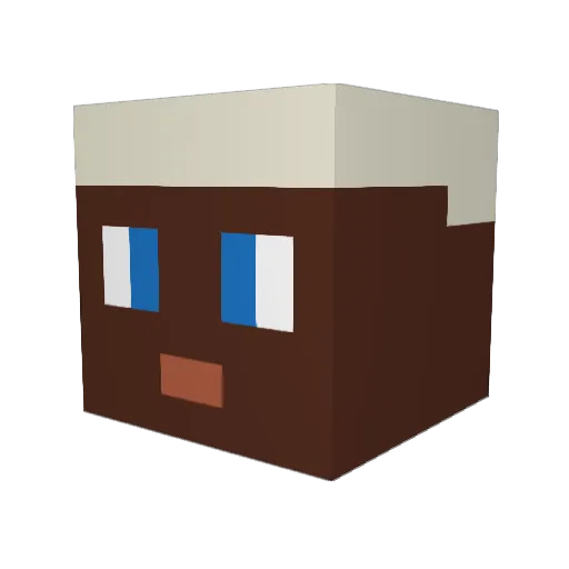 Timpyy Minecraft avatar head, 3D render