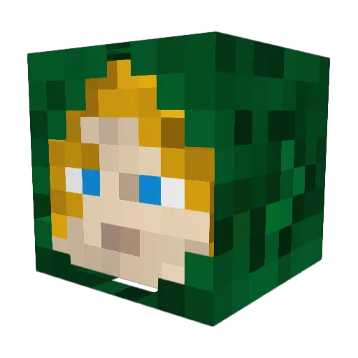 Timryan182 Minecraft avatar head, 3D render