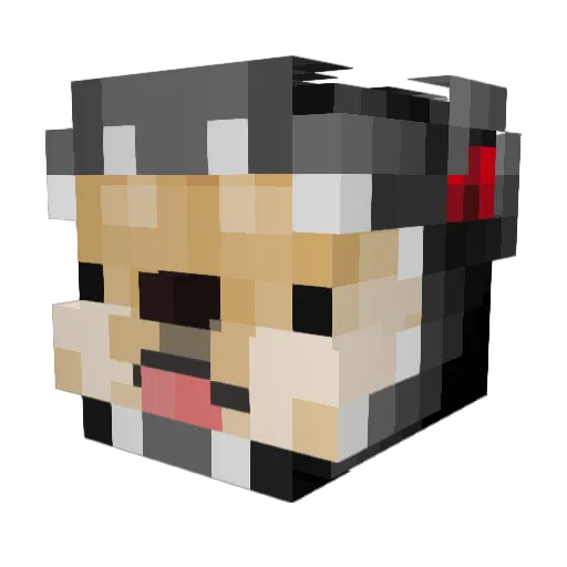 Timryuuu Minecraft avatar head, 3D render