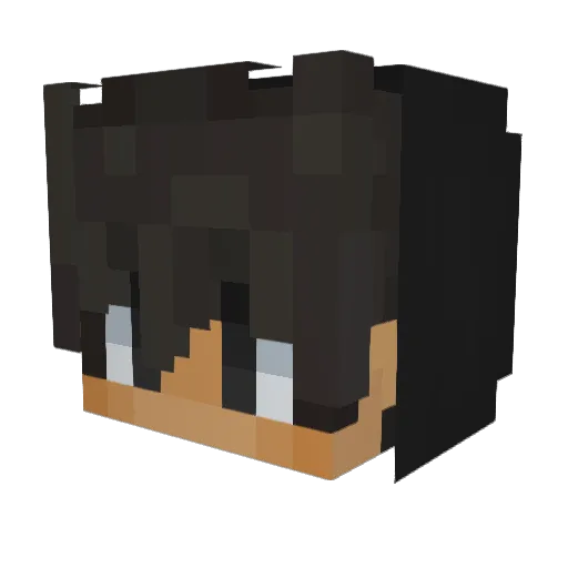 TimsMoveLps Minecraft avatar head, 3D render