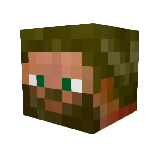 Timsa8 Minecraft avatar head, 3D render
