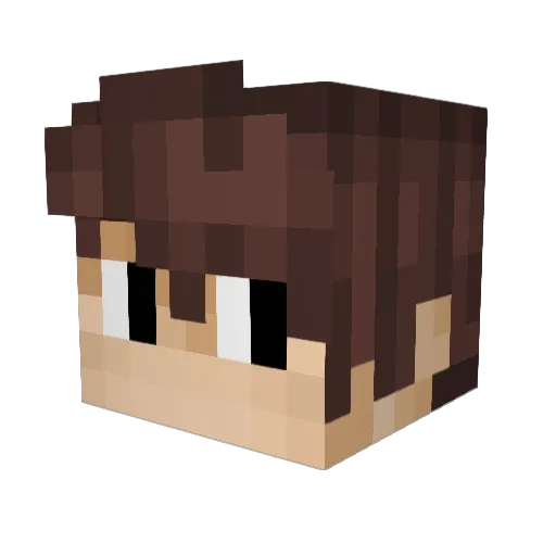 Timski_i Minecraft avatar head, 3D render