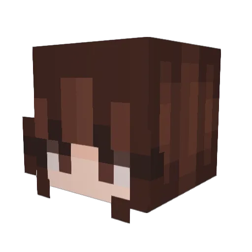 Timsku_ Minecraft avatar head, 3D render