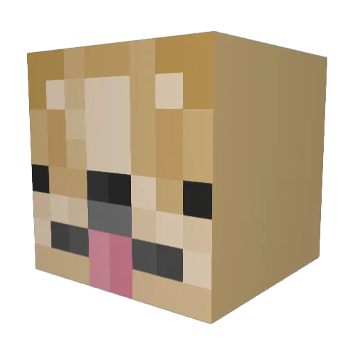 TimstarrCraft Minecraft avatar head, 3D render