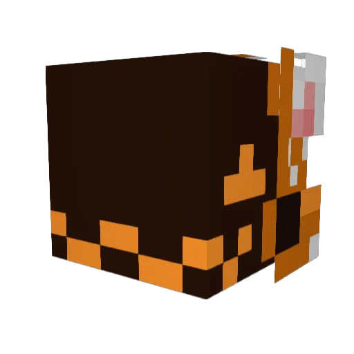 TimuSerduszko Minecraft avatar head, 3D render