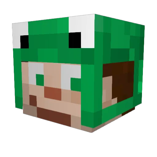 Timvanhooft1 Minecraft avatar head, 3D render