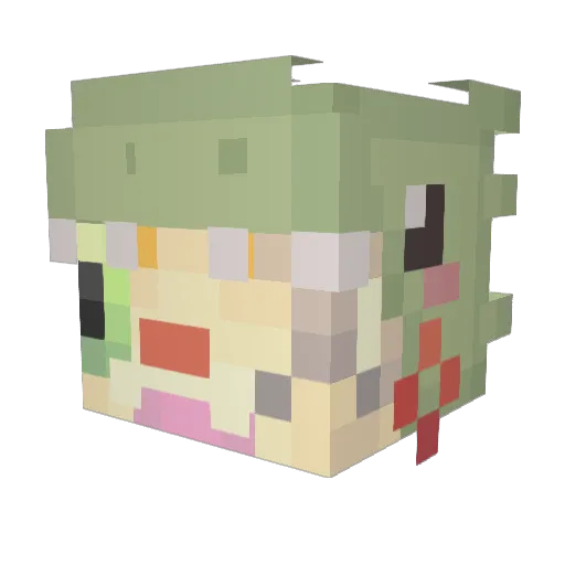 Timvideo326 Minecraft avatar head, 3D render