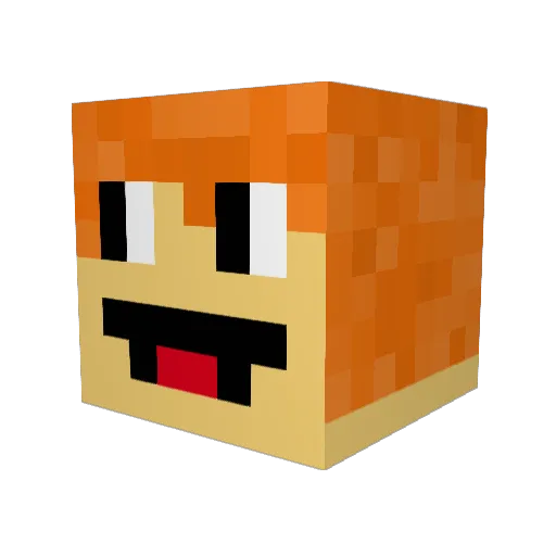 Timy_ToughKnuckl Minecraft avatar head, 3D render