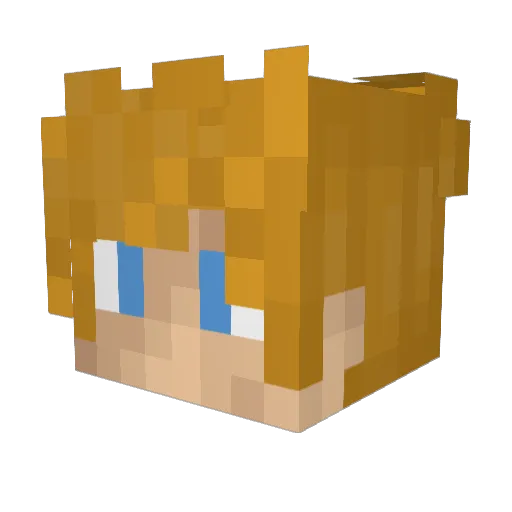 Timybit Minecraft avatar head, 3D render