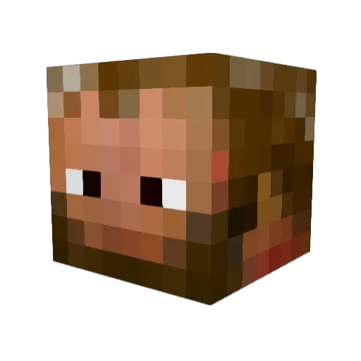 Timzilla Minecraft avatar head, 3D render