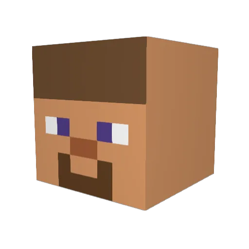 Timzo1201 Minecraft avatar head, 3D render