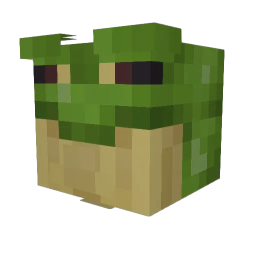 Timzzoo Minecraft avatar head, 3D render