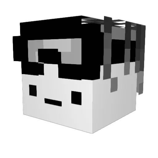 Tin0107 Minecraft avatar head, 3D render