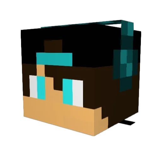 TinAndy_11 Minecraft avatar head, 3D render