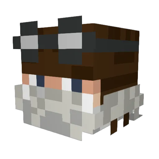 TinBeans Minecraft avatar head, 3D render