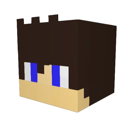 TinFinku Minecraft avatar head, 3D render