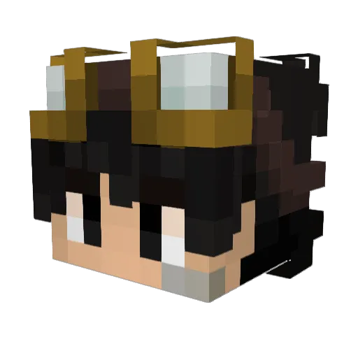 TinFoilHat___ Minecraft avatar head, 3D render