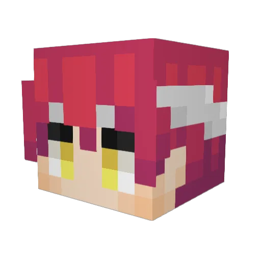 TinFoilSock Minecraft avatar head, 3D render
