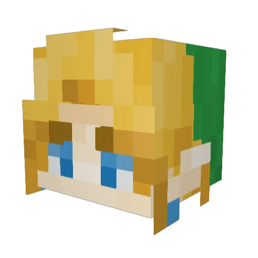 TinNose61 Minecraft avatar head, 3D render