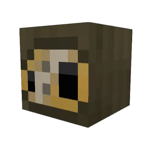 TinQk Minecraft avatar head, 3D render
