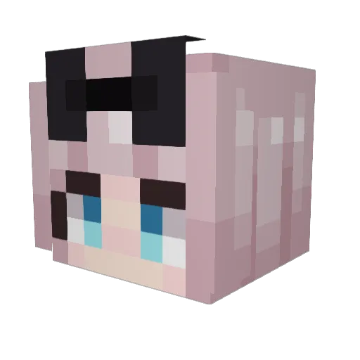 TinTape Minecraft avatar head, 3D render