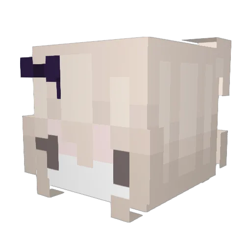 TinTheTurk Minecraft avatar head, 3D render