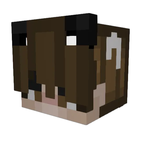 Tin_Basher Minecraft avatar head, 3D render