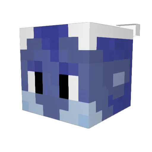 Tin_The_Witch Minecraft avatar head, 3D render