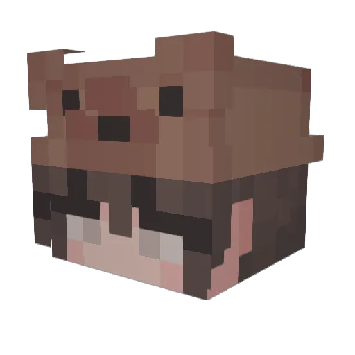 Tin_nt Minecraft avatar head, 3D render