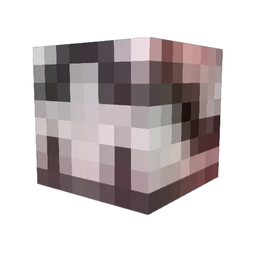 Tina41521 Minecraft avatar head, 3D render
