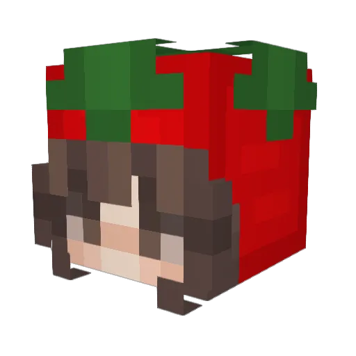 TinaRu Minecraft avatar head, 3D render