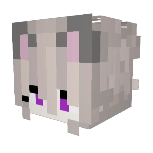 Tina_ht Minecraft avatar head, 3D render