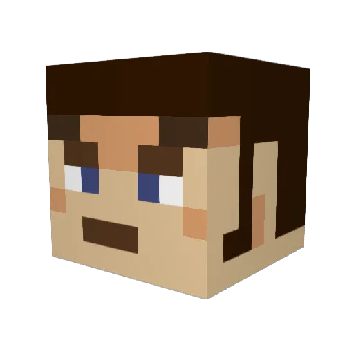 Tinbody Minecraft avatar head, 3D render
