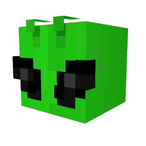 Tinder_Me Minecraft avatar head, 3D render