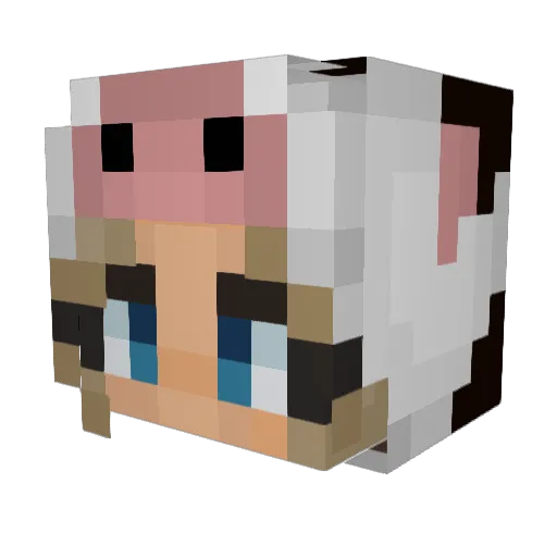 Tindra1337 Minecraft avatar head, 3D render