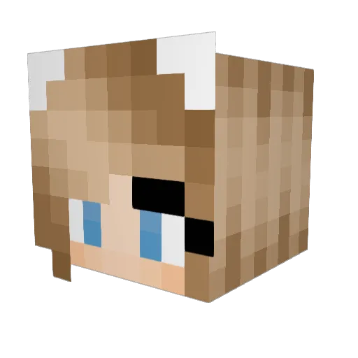 Tindra85 Minecraft avatar head, 3D render