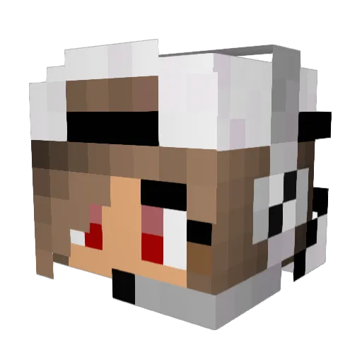 Tindra_0791 Minecraft avatar head, 3D render