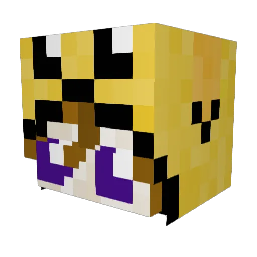 Tine27603 Minecraft avatar head, 3D render