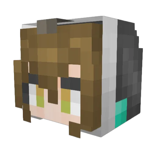 TinfoilF Minecraft avatar head, 3D render
