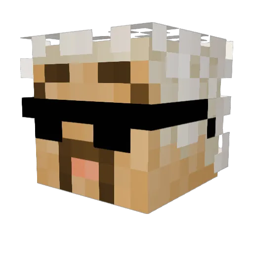 TinfoilZak Minecraft avatar head, 3D render