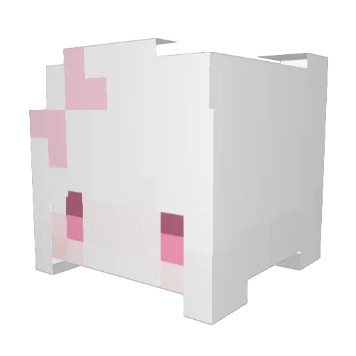 Ting1209 Minecraft avatar head, 3D render