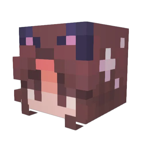 TingClar Minecraft avatar head, 3D render