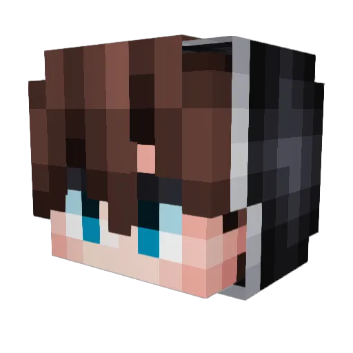 TingMiner Minecraft avatar head, 3D render