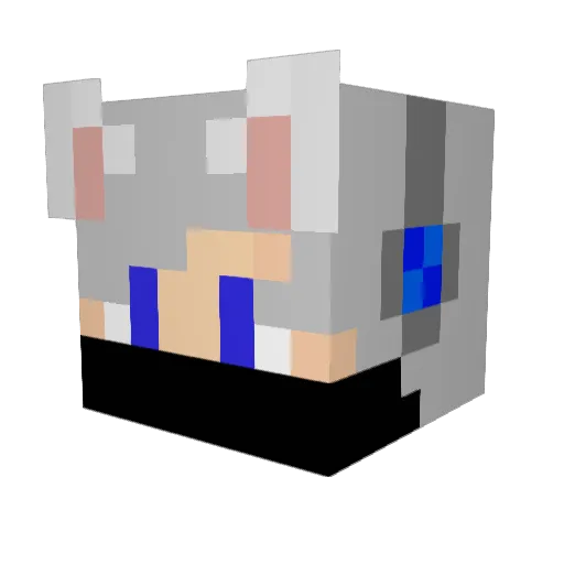 TingOfCat Minecraft avatar head, 3D render