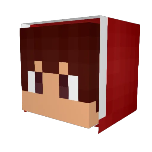 TingTingPop Minecraft avatar head, 3D render