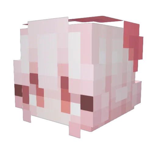 Ting_V Minecraft avatar head, 3D render