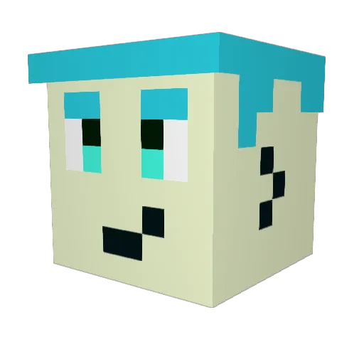 TingleLord421 Minecraft avatar head, 3D render
