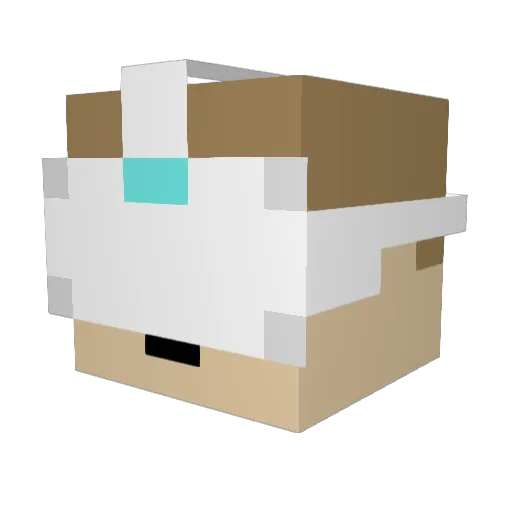 TinglySquire110 Minecraft avatar head, 3D render
