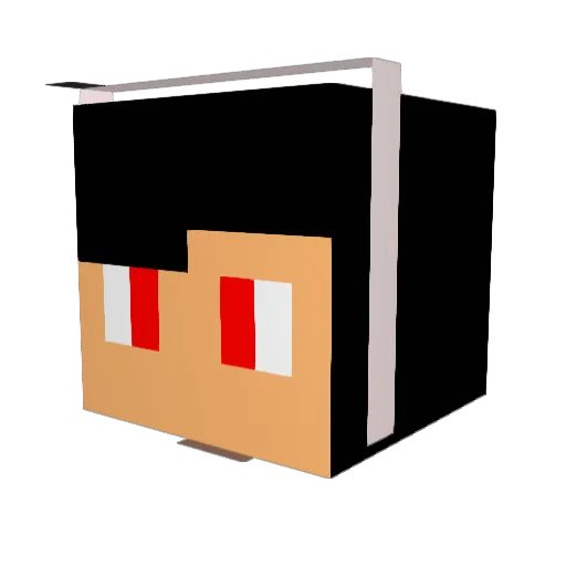 Tingro Minecraft avatar head, 3D render